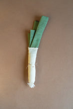 Charger l'image dans la galerie, Aliments magnétiques en tissu