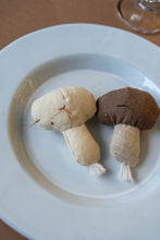 Charger l'image dans la galerie, Aliments magnétiques en tissu