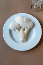 Charger l'image dans la galerie, Aliments magnétiques en tissu