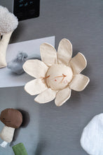 Charger l'image dans la galerie, Aliments magnétiques en tissu