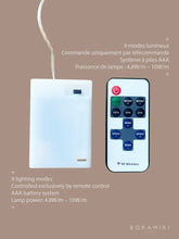 Charger l'image dans la galerie, VEILLEUSE COQUILLE ST-JAQUE