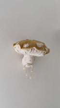 Charger et lire la vidéo dans la visionneuse de la Galerie, CHAMPIGNON RÊVEUR MUSTARD
